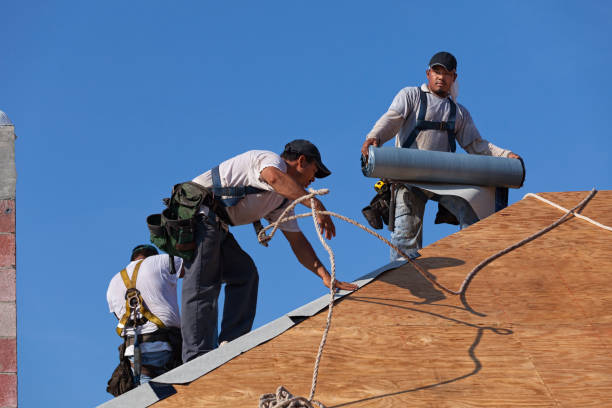 Best Roof Gutter Cleaning  in Thorp, WI