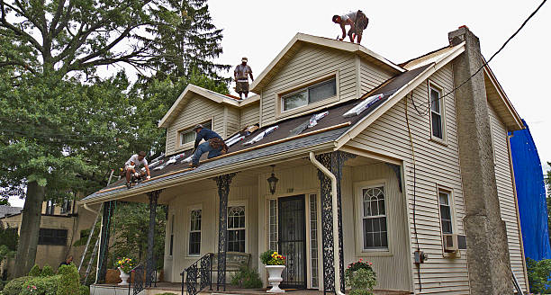 Best Roof Waterproofing Services  in Thorp, WI