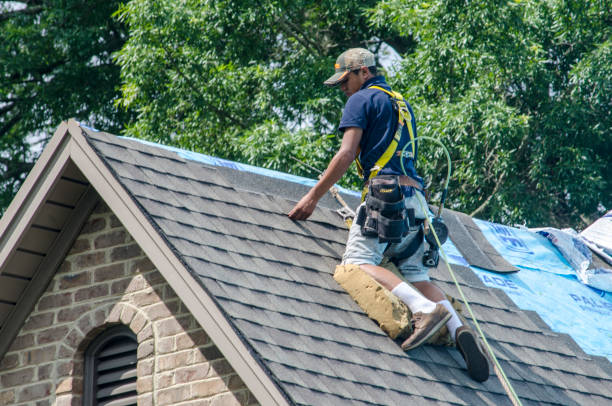 Best Storm Damage Roof Repair  in Thorp, WI